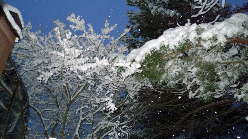 ashland school district snow day no cancelled