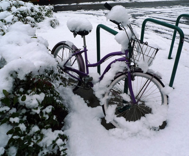 bike in snow