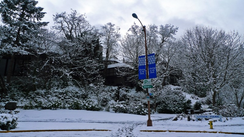 skating skiing in lithia park snow
