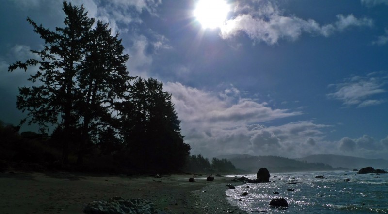 brookings oregon coast beach sun