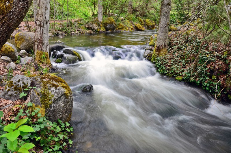 ashland creek lithia park slow shutter silky ashland creek silk