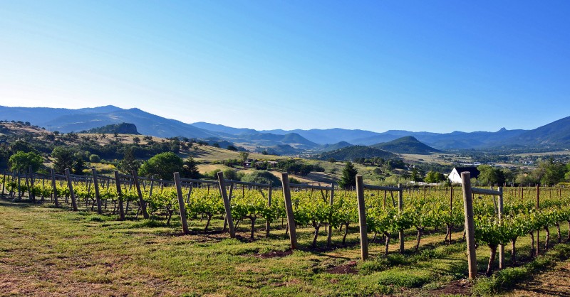 wine growing ashland oregon