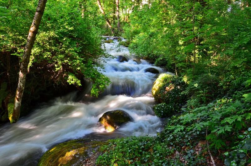 lithia park ashland oregon stream