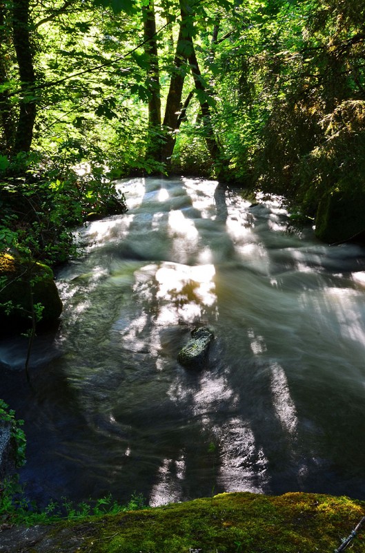 ashland creek downstream lithia park oregon