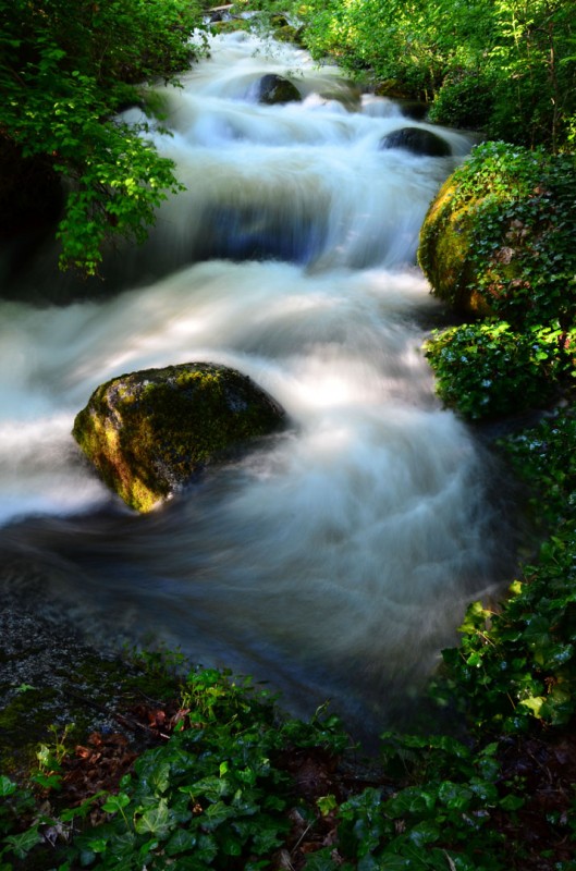 ashland creek on a sunny summer morning lithia park ashland creek