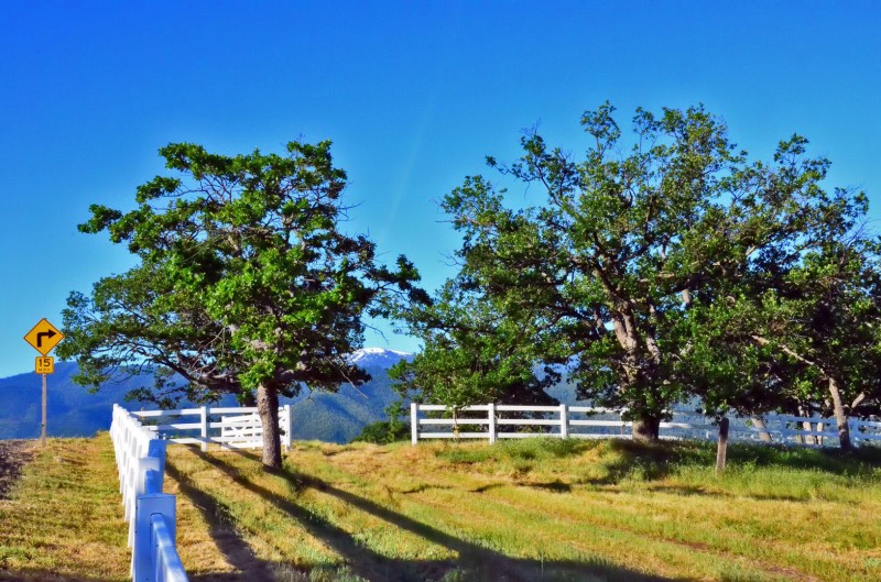 ashland oregon farm