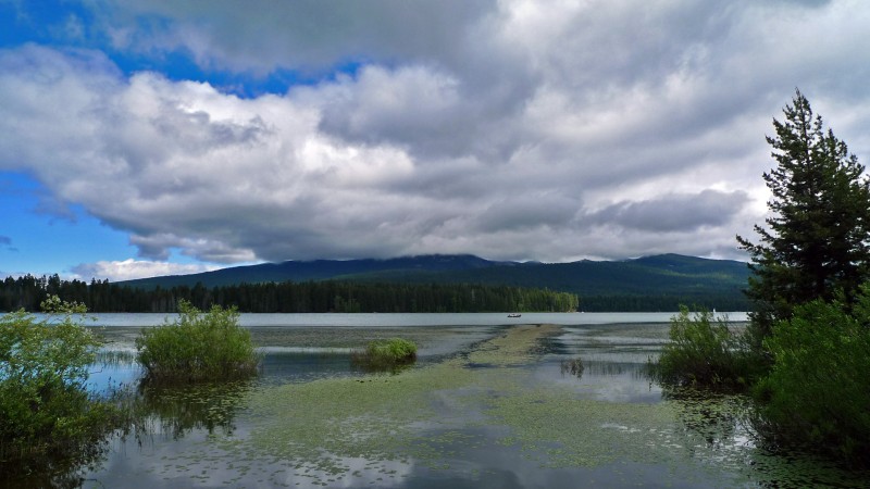 lake of the woods