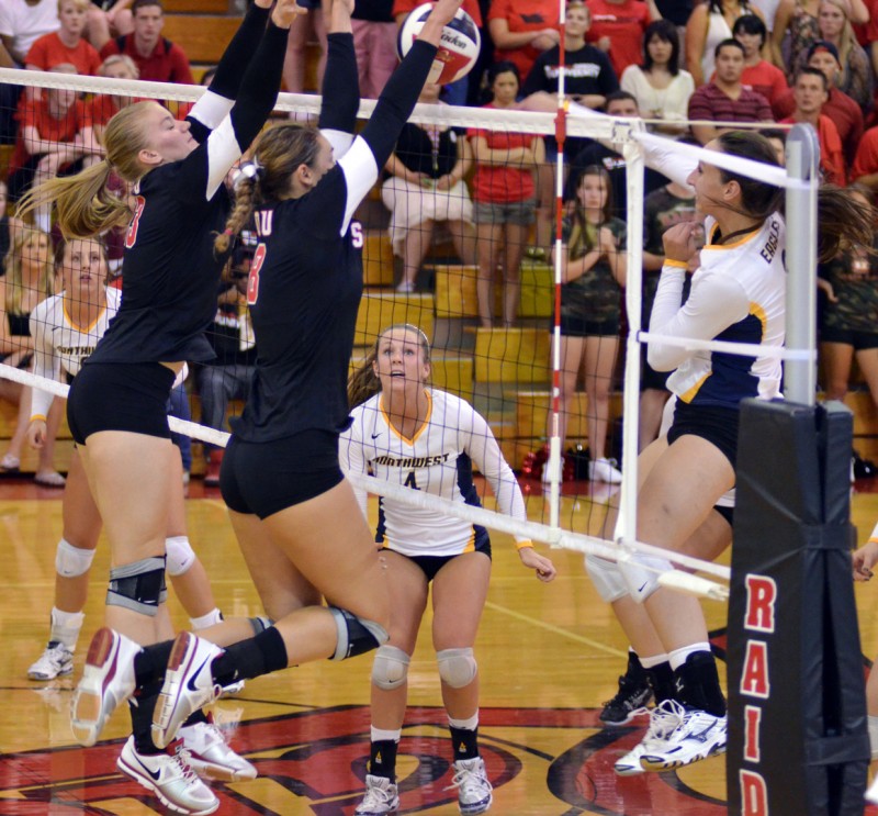 volleyball block