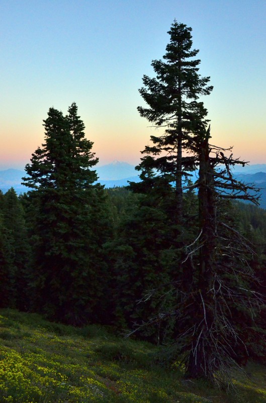 mount shasta california from oregon