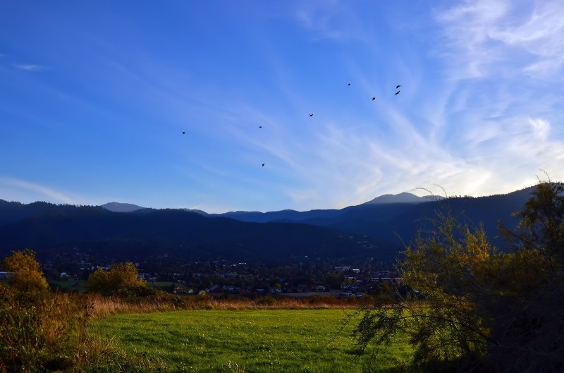ashland oregon autumn birds mt. ashland fall colors foliage