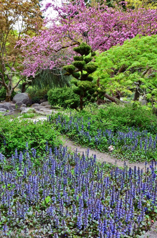 japanese Garden Lithia Park