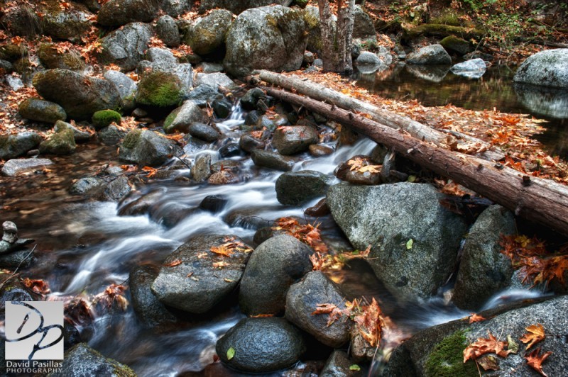 David Pasillas photography ashland oregon