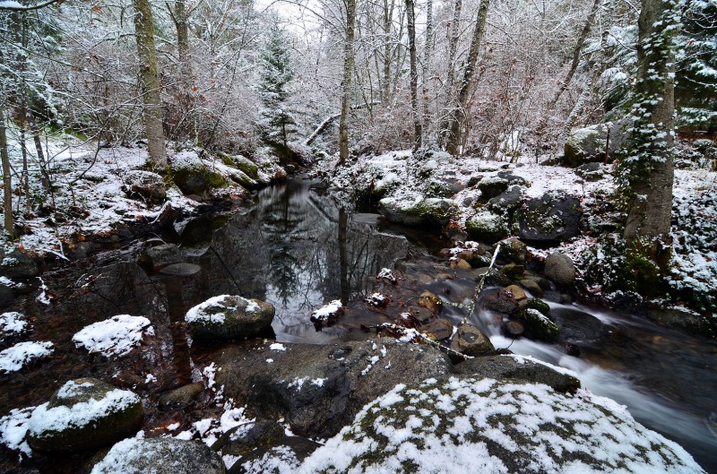 lithia park ashland creek covered in snow winter scene