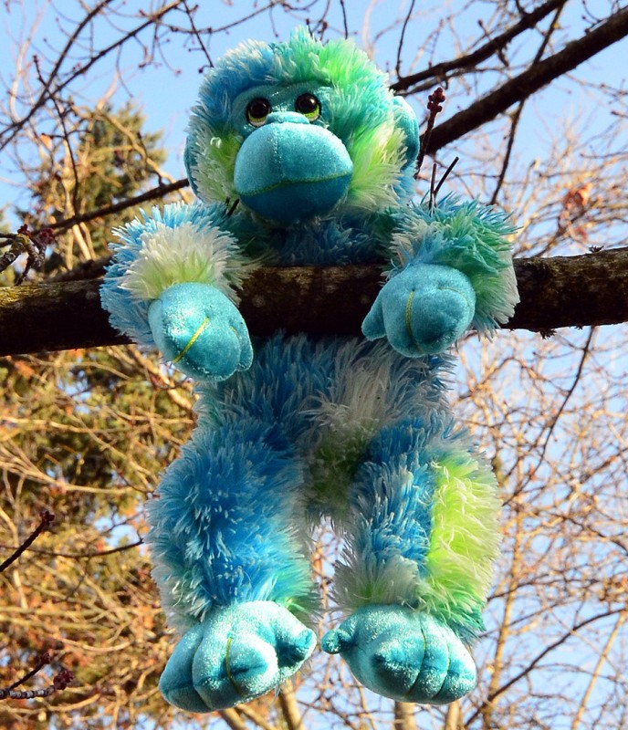stuffed monkey animal tree ashland oregon b street