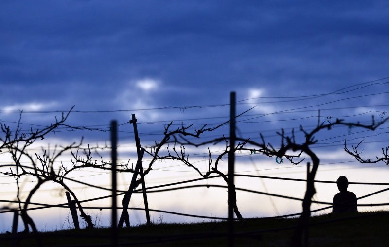 buddha storm clouds sunset ashland oregon vineyard vines