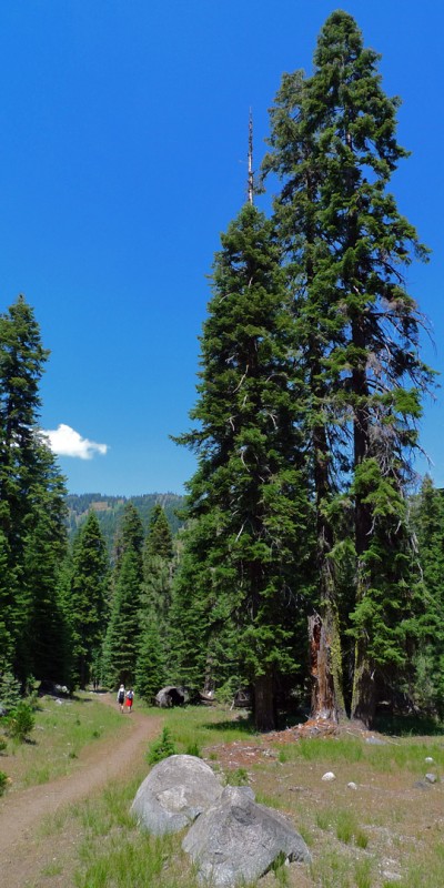 trinity alps northern california hiking trails