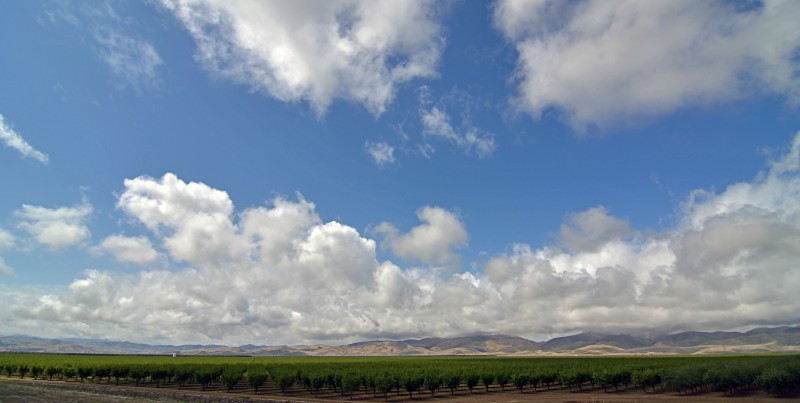 central california orchards i-5 south of los banos