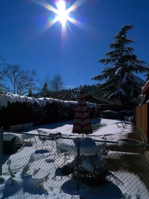swim swimming pool snow sun ashland oregon pool covered in snow