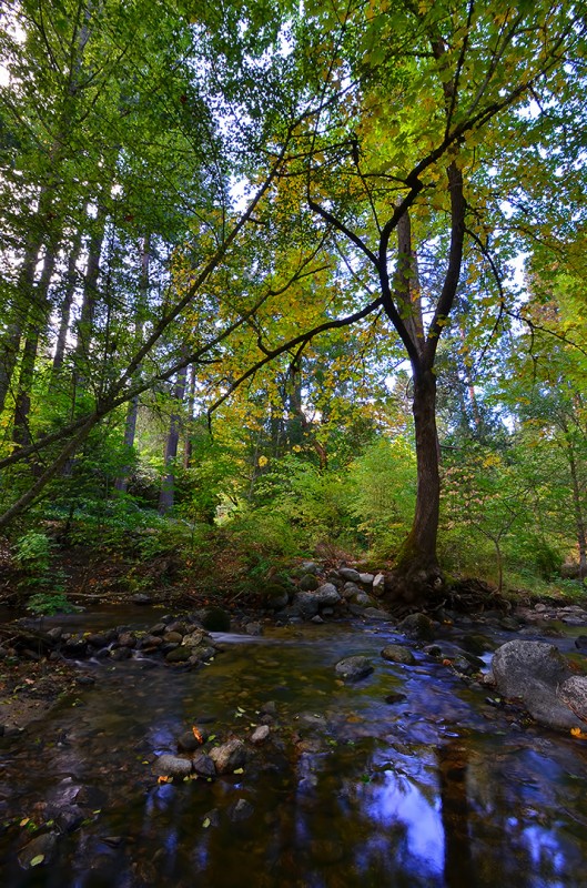 nikon d7000 tamron 10-24 10-24mm ultra wide lens