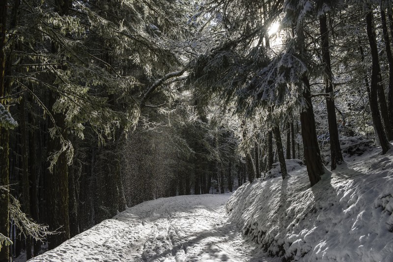 sun snow ashland loop road ashland oregon hiking snow shoes cross country x skiing trail