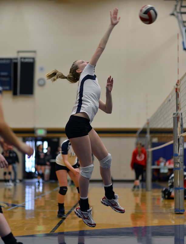 volleyball ellie case kill
