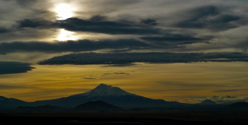 mount shasta mt.