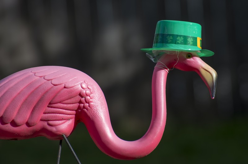  st patrick's day pink flamingo lawn orniment