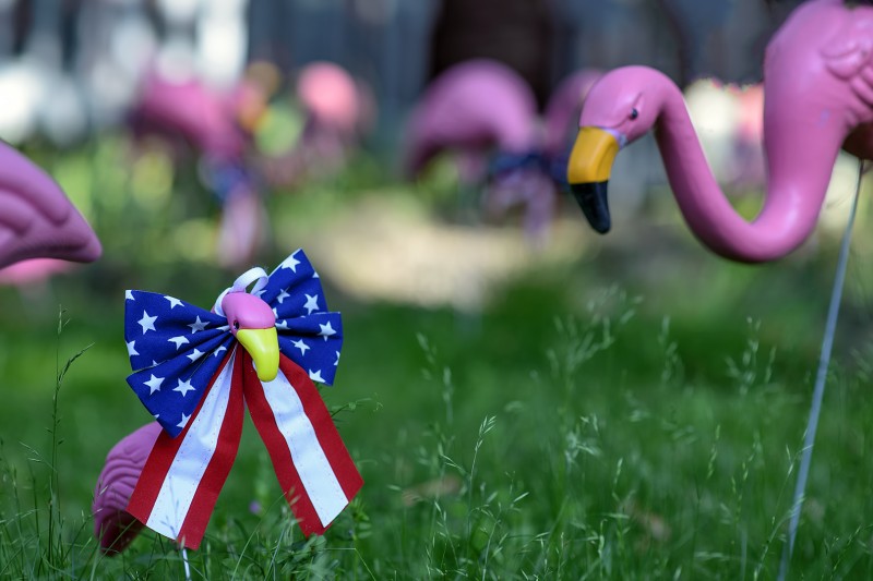 pink flamingos lawn ornaments babys memorial day flags
