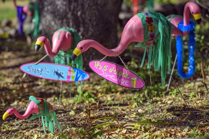 june flamingos summer outfits
