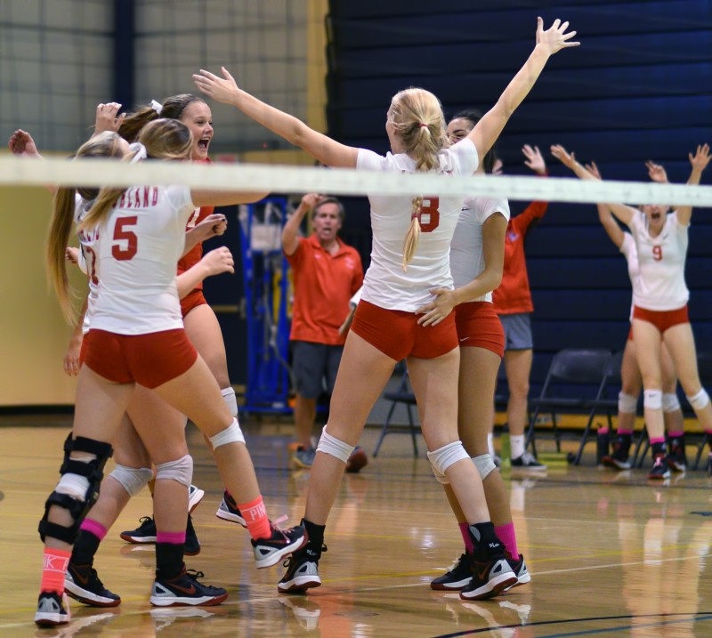 AHS volleyball team
