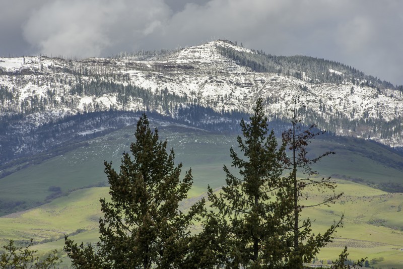 grizzly peak snow