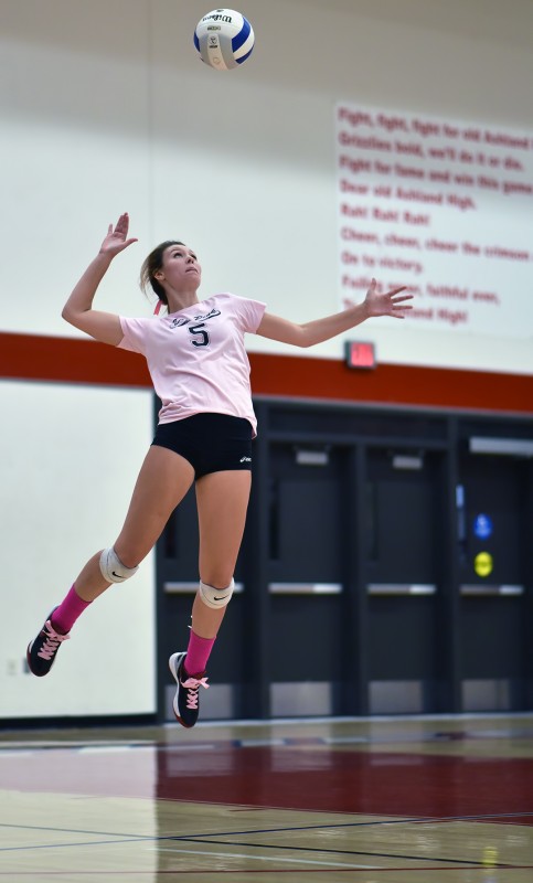 AHS volleyball jordan