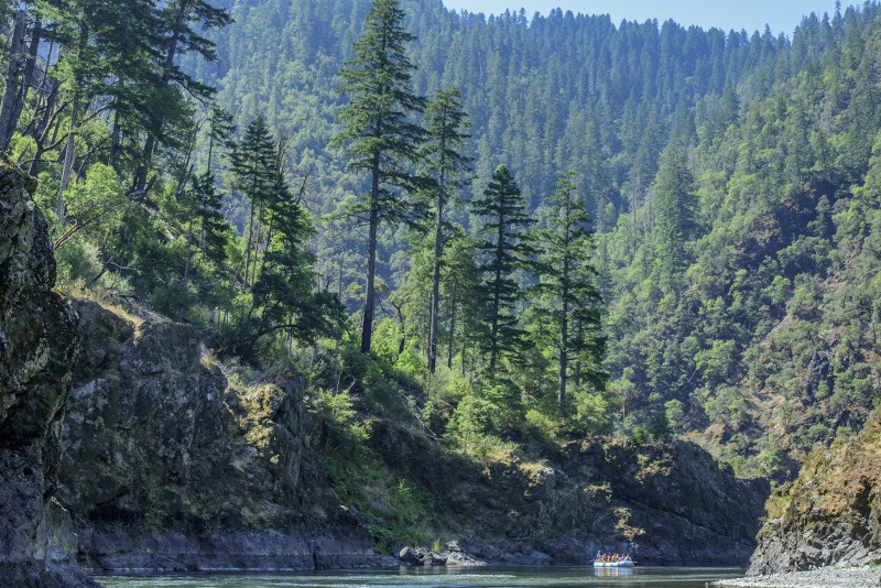 Wild and Scenic Rogue River