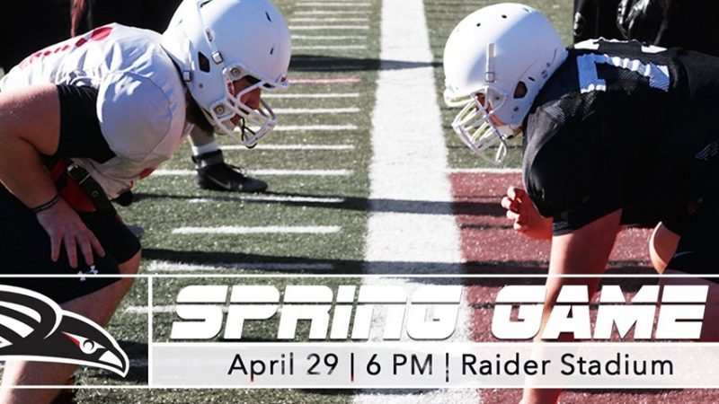 large_Spring_Game