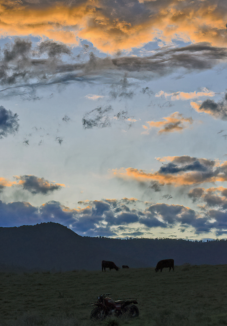 cows sunset storm-DeNoiseAI-clear