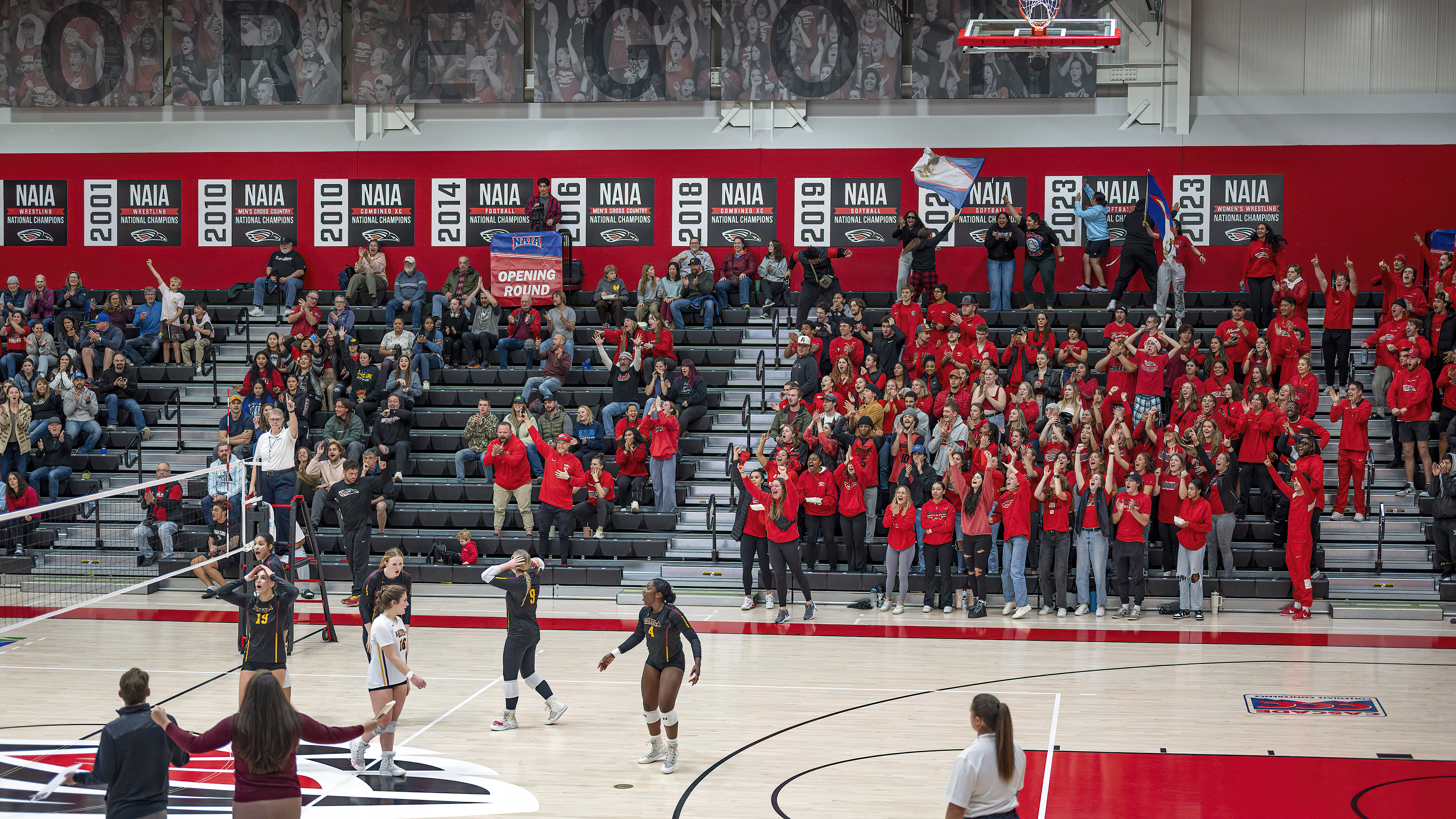 sou volleyball crowd