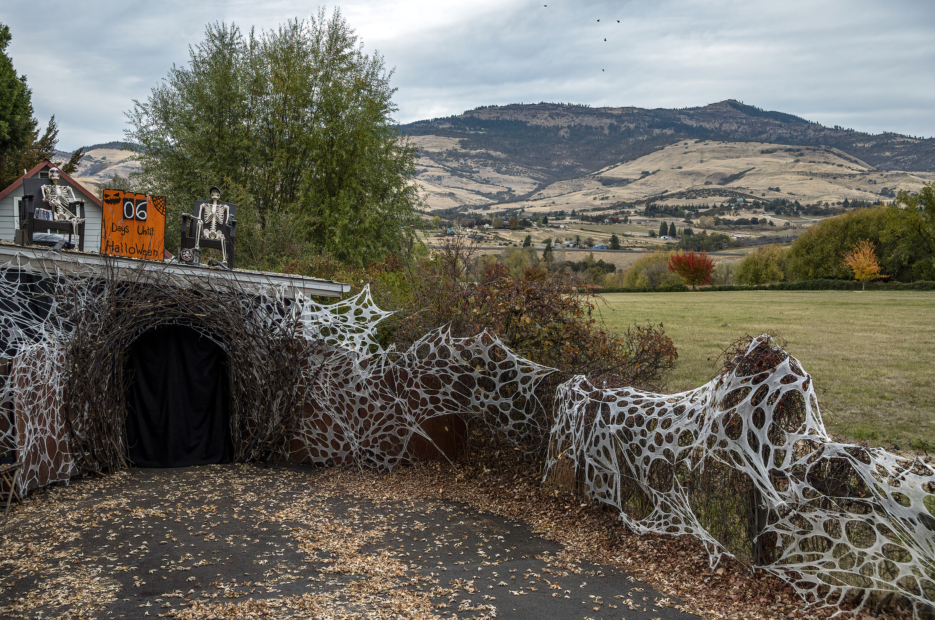 halloween ashland oregon boneyard beer