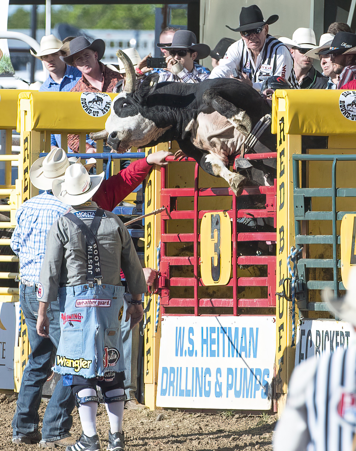 bull riding shoot