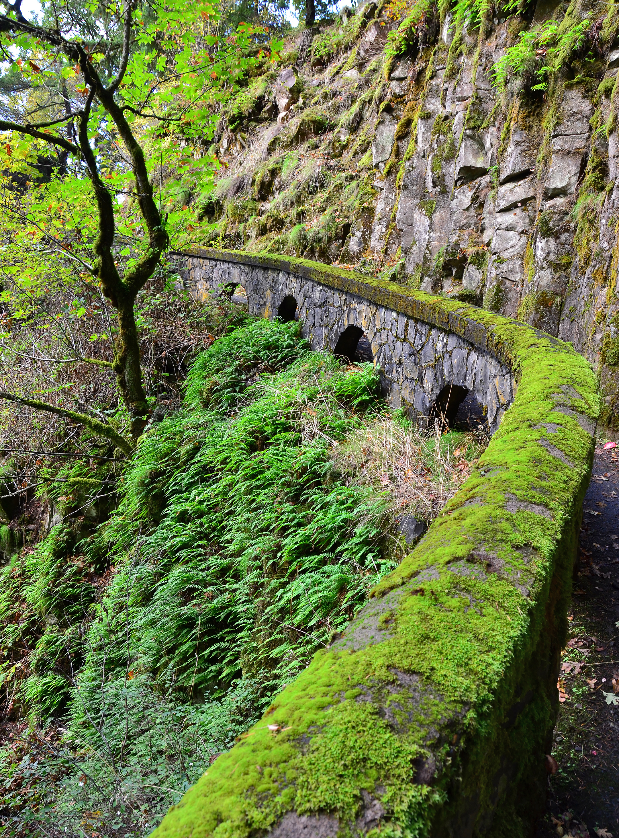 columbia river gorge tour near bridal veil falls mossy stone railing