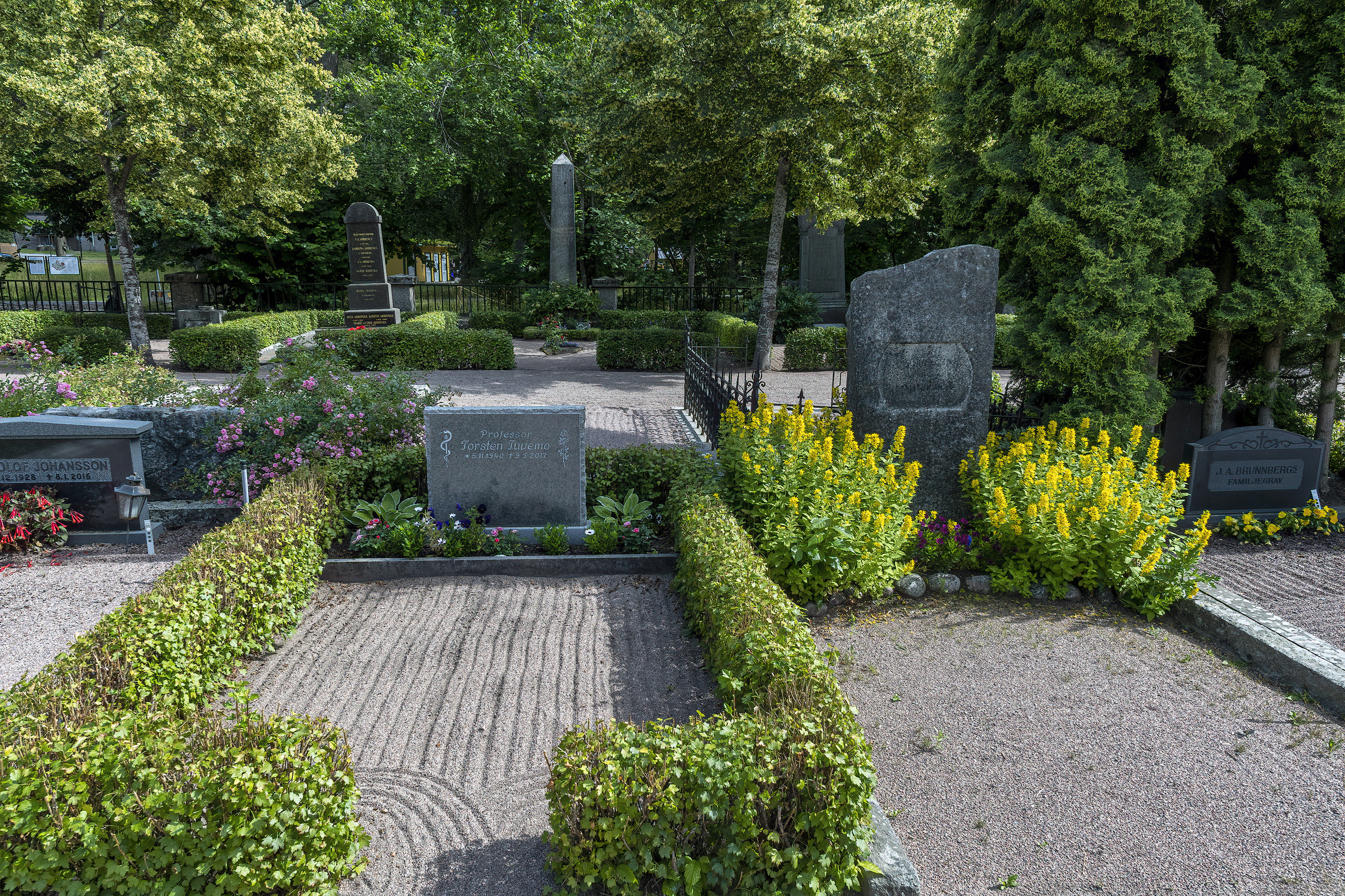 uppsalla sweden cemetery professor torsten tuvemo zen grave-DeNoiseAI-clear