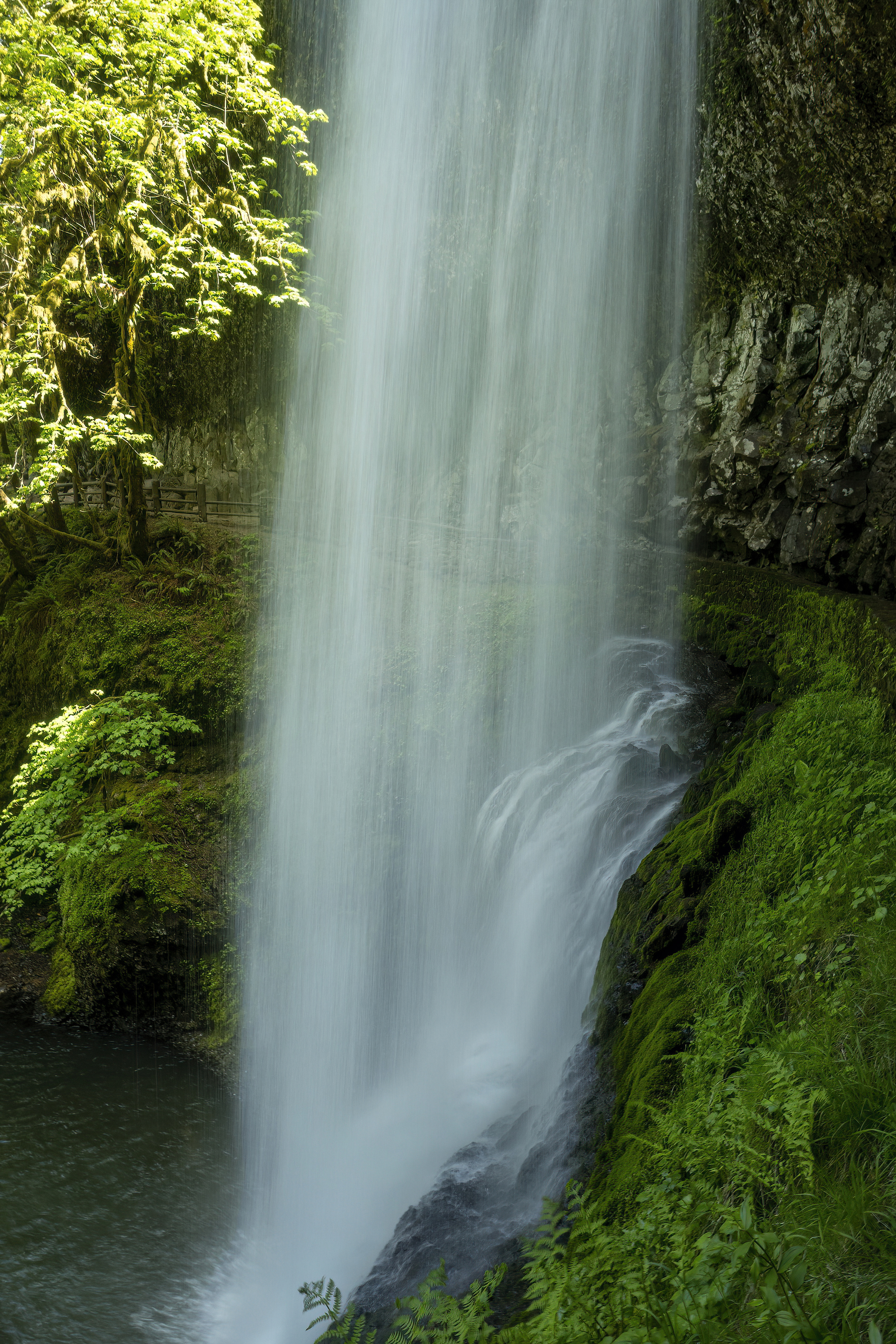 silver falls state park south waterfall-DeNoiseAI-low-light-DeNoiseAI-clear