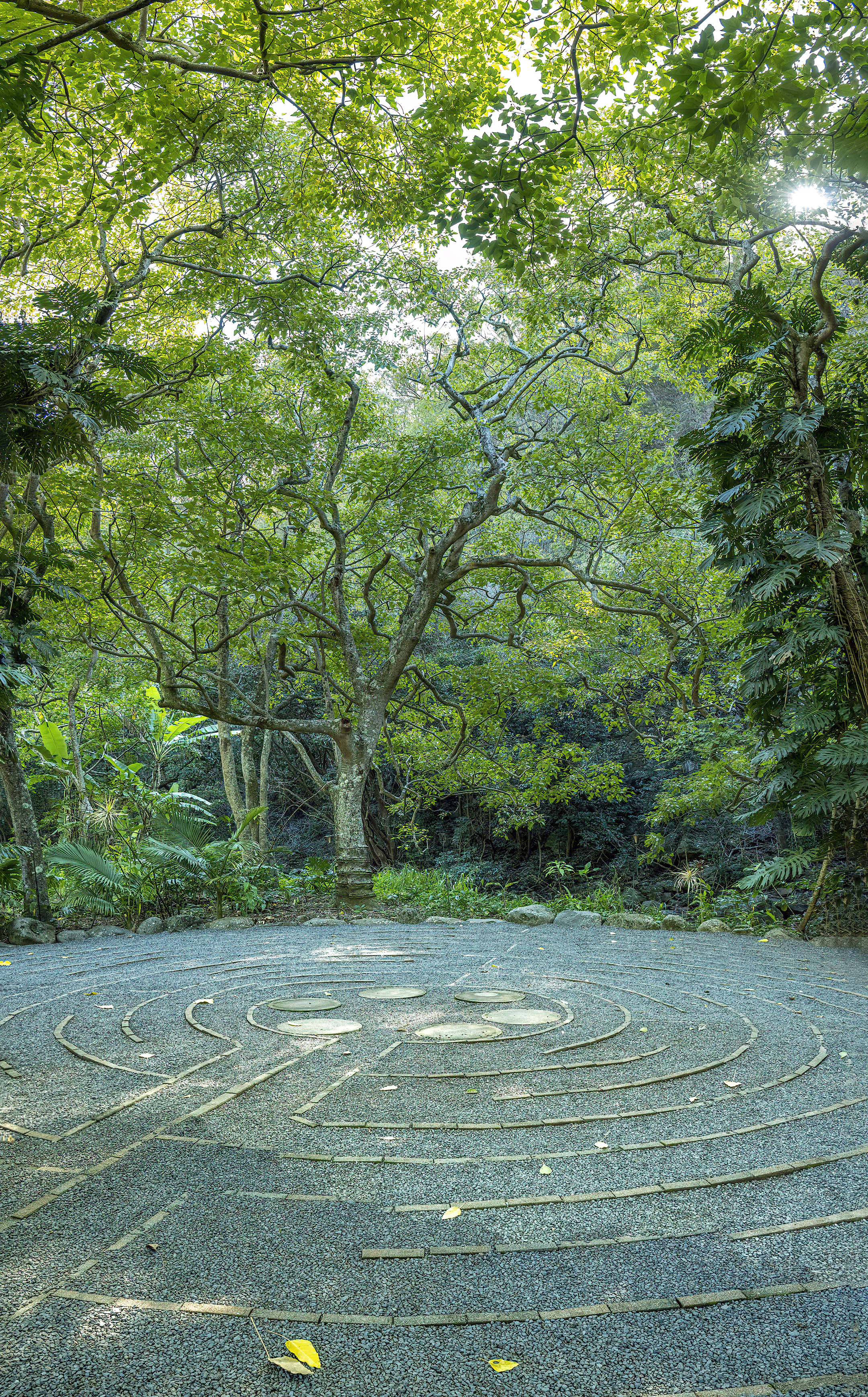 8-photo photomerge Sacred Garden of Maliko medieval 11-circuit labyrinth Kukui forest-clear