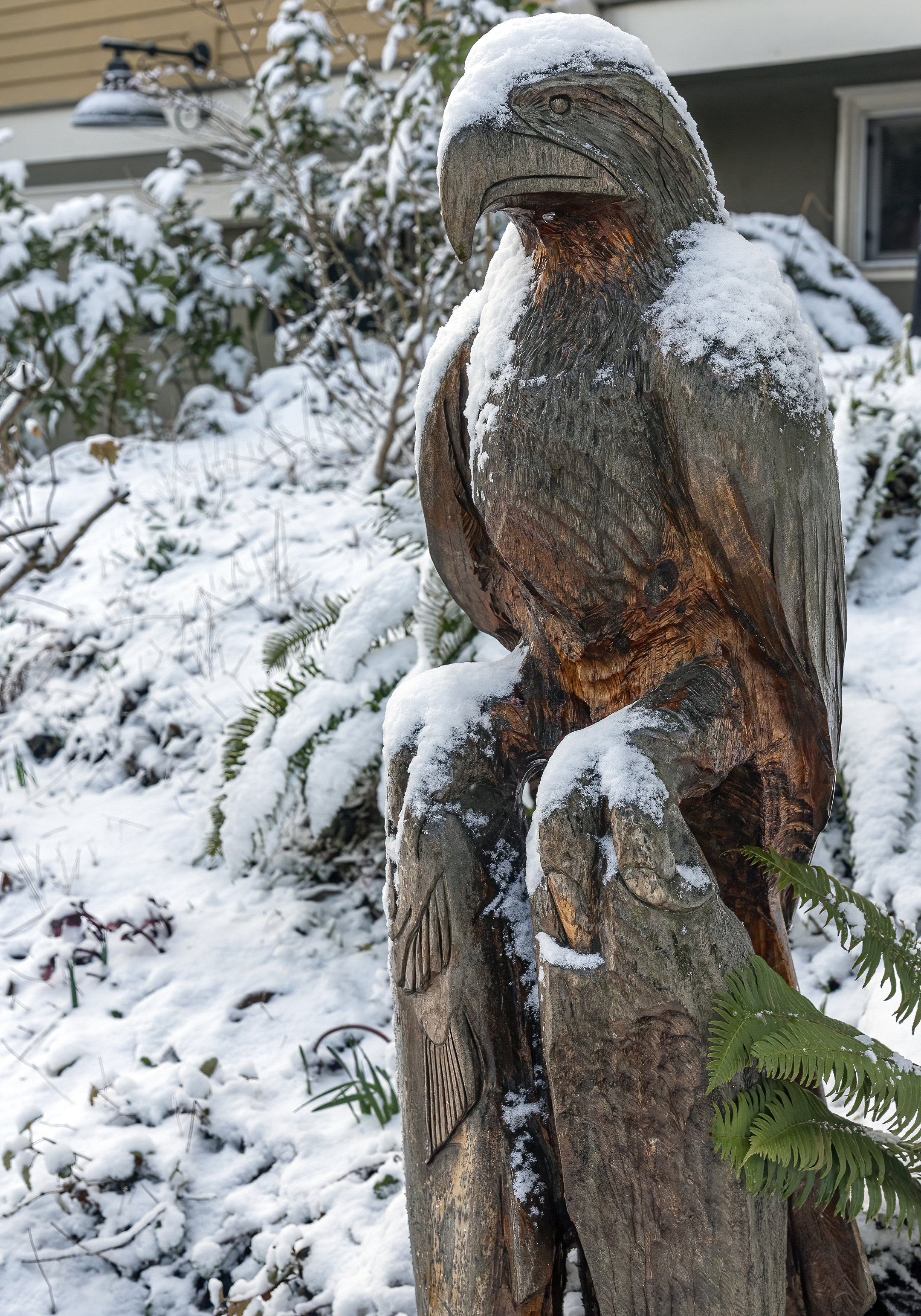 portland snow walk eagle salmon statue irvington-DeNoiseAI-standard