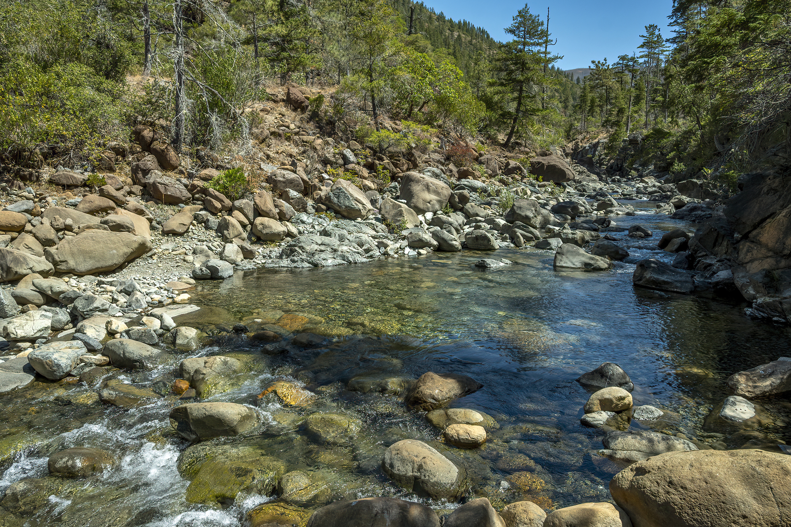 Stony Creek Gasquet california