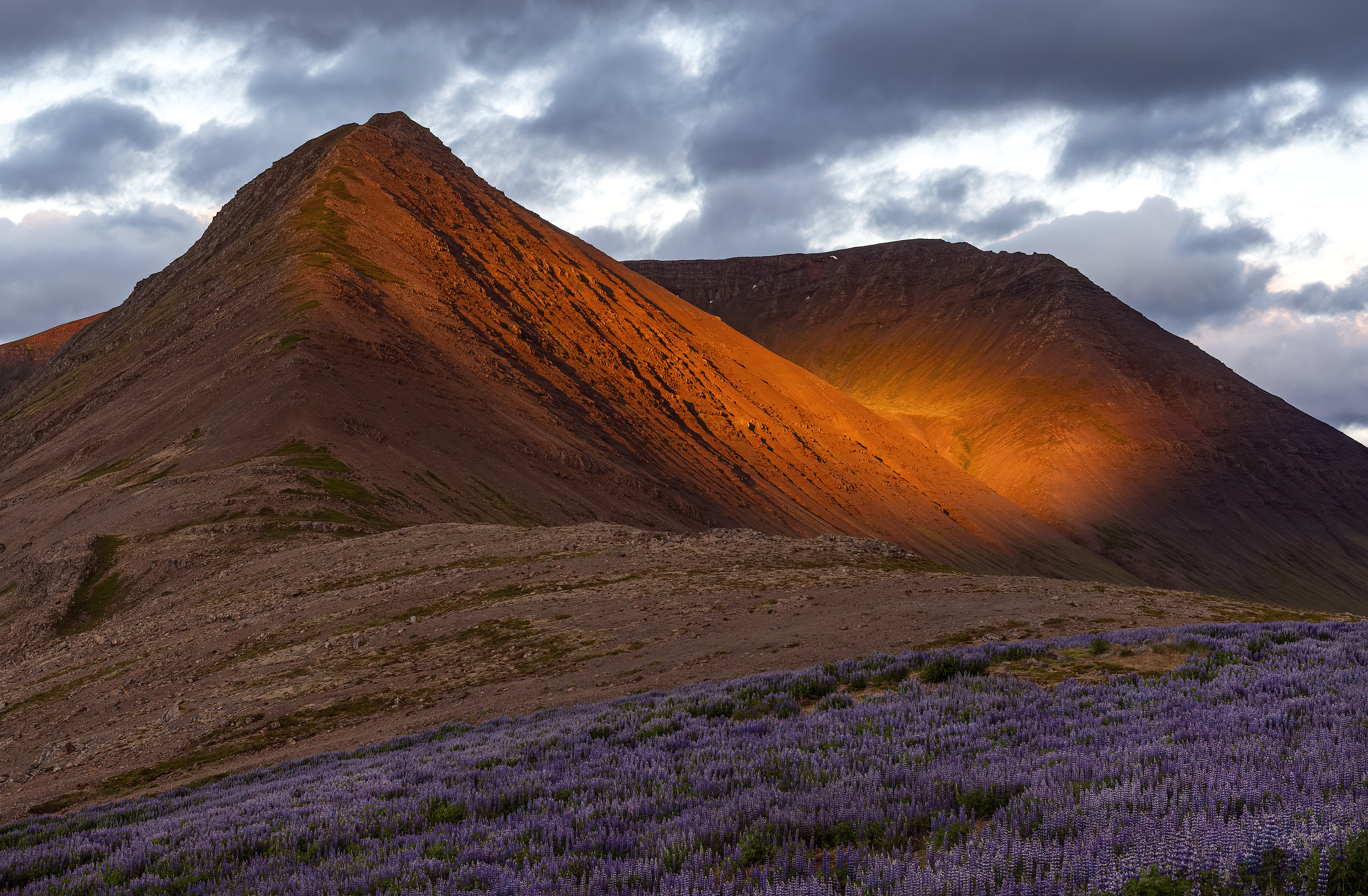 westfjords midnight iceland