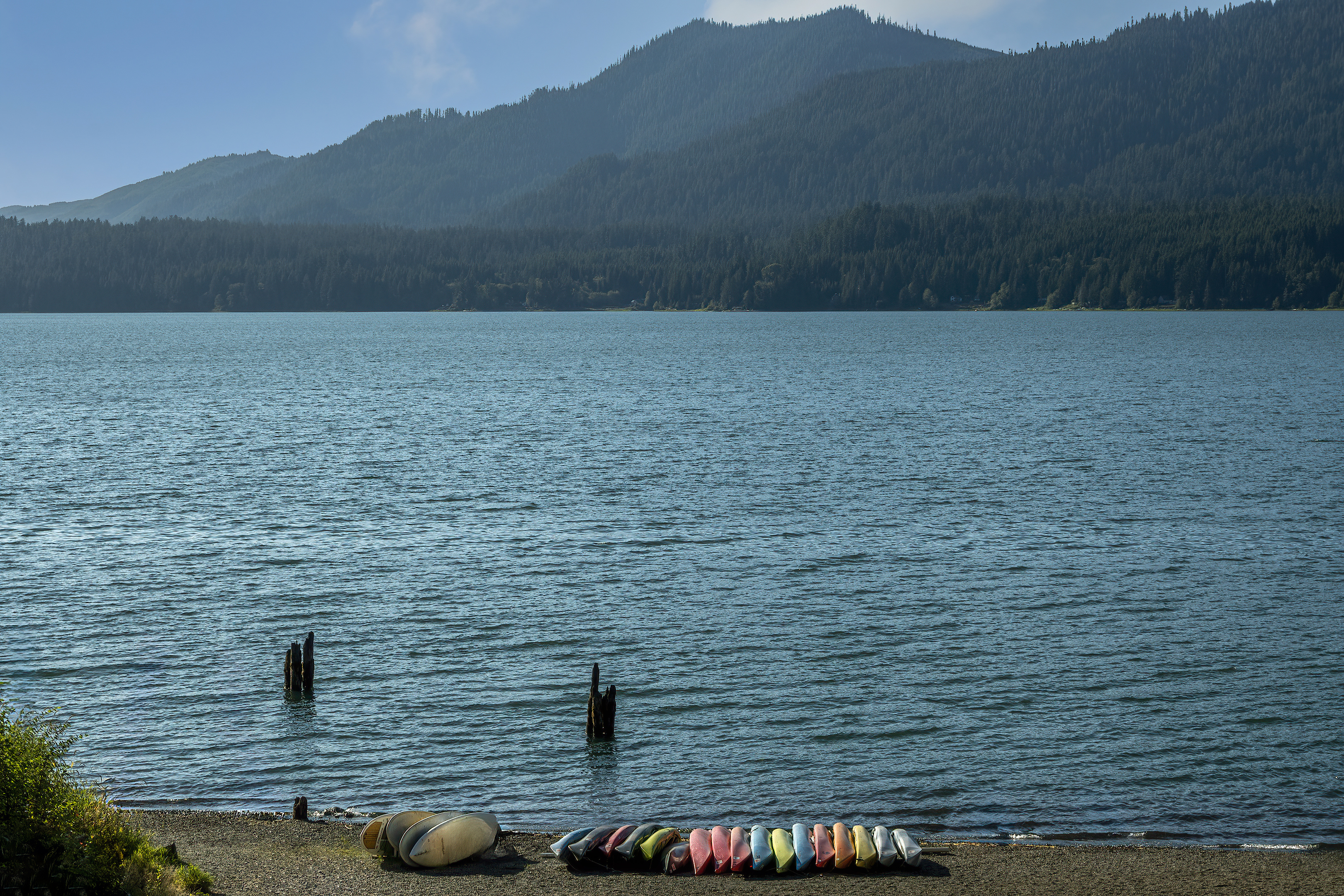 Lake Quinault olympic national park