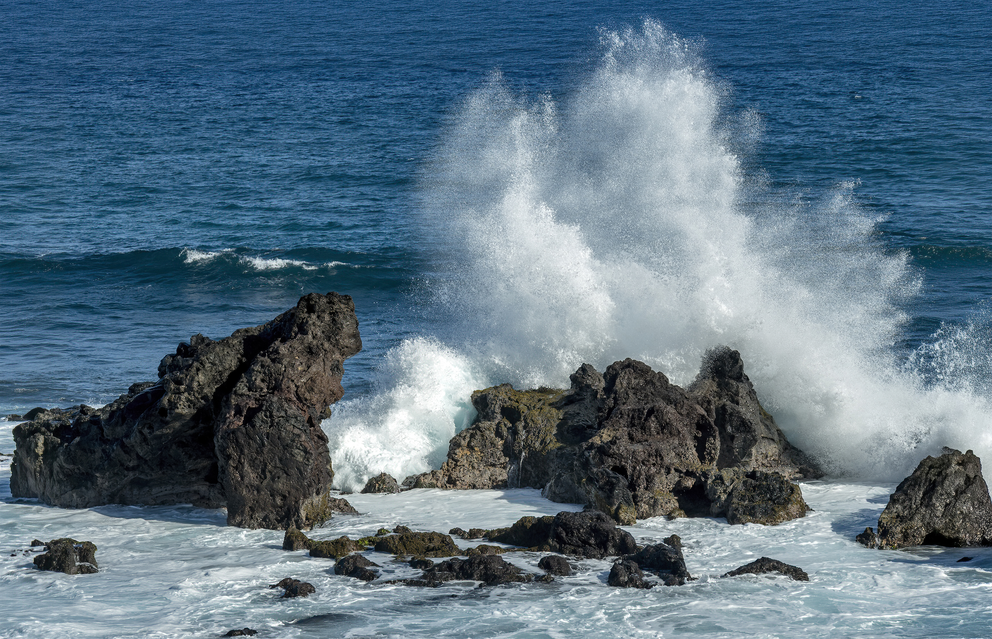 Ho’okipa maui hawaii pacific ocean